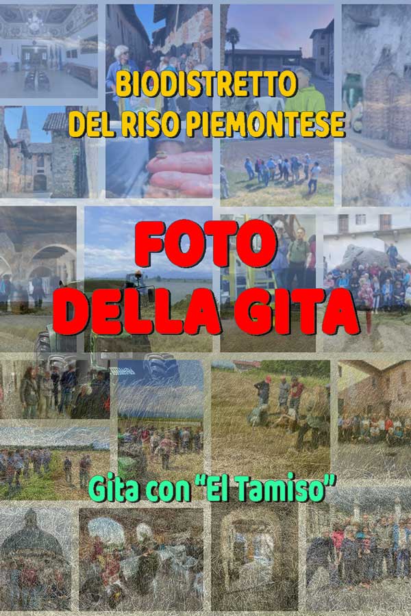 Gita con El Tamiso 2025